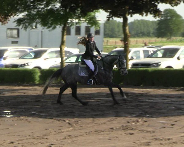 Reitturnier Lentzke - Reitanlage Krehl 2025