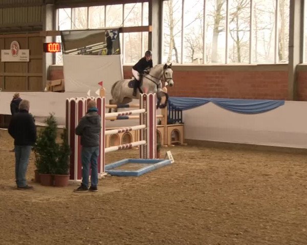 Hallen-Springturnier Greven 2014