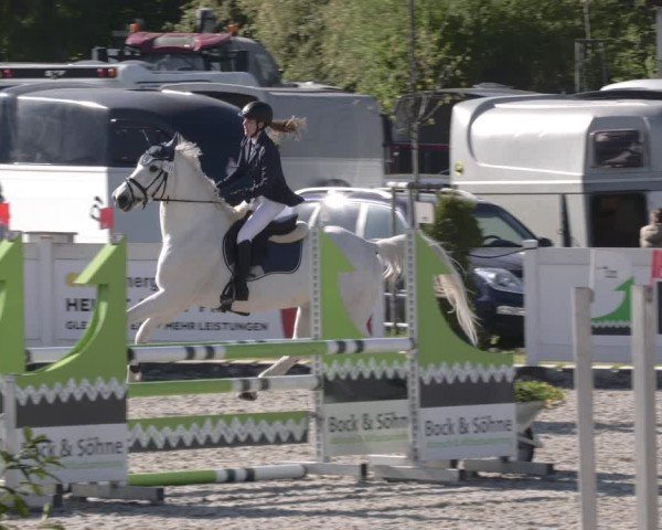 Reitturnier Babenhausen 2025