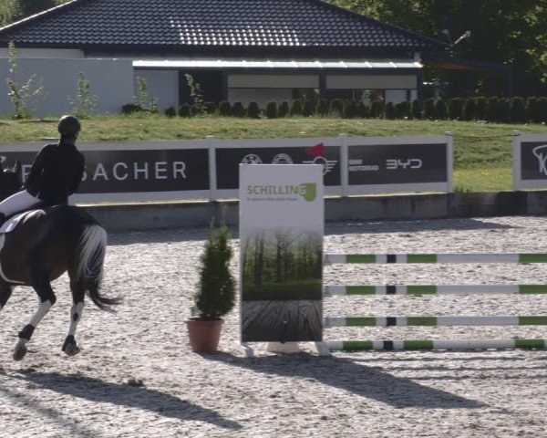 Reitturnier Babenhausen 2025