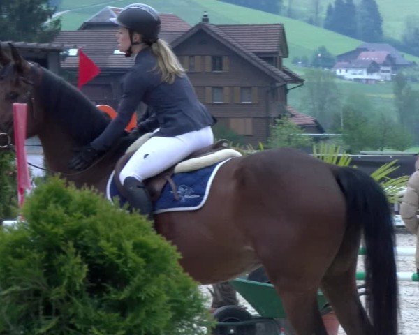 Reitturnier Schüpfheim 2025