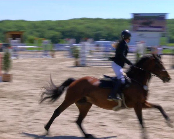 Reitturnier Fürstenwald 2025