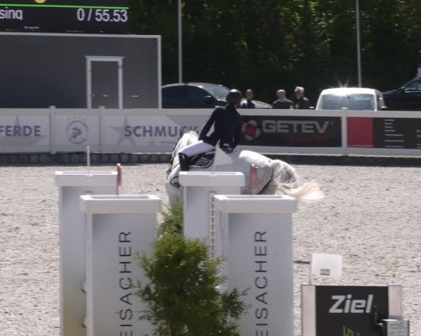 Reitturnier Babenhausen 2025