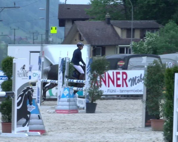 Reitturnier Schüpfheim 2025