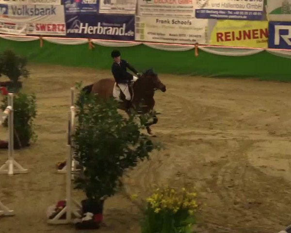 Keppelner Springfestival 2014
