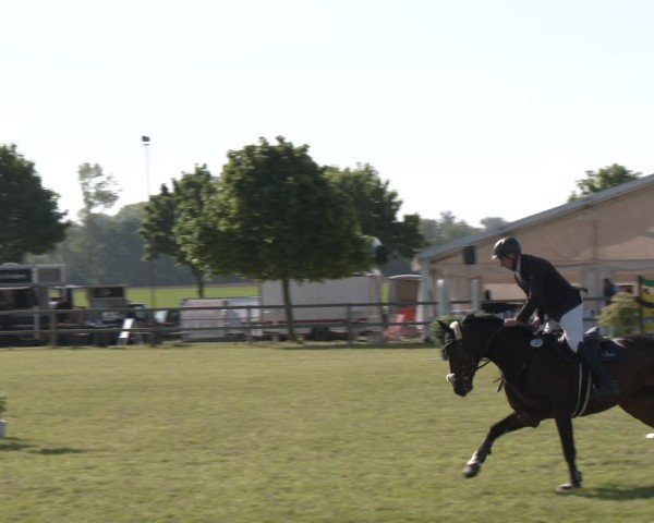 Reitturnier Wilkenburg 2025