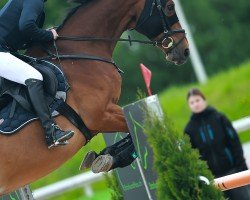 Springpferd Elmo K CH (Schweizer Warmblut, 2014, von Milor Landais)