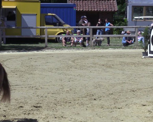 Reitturnier Lienen 2025