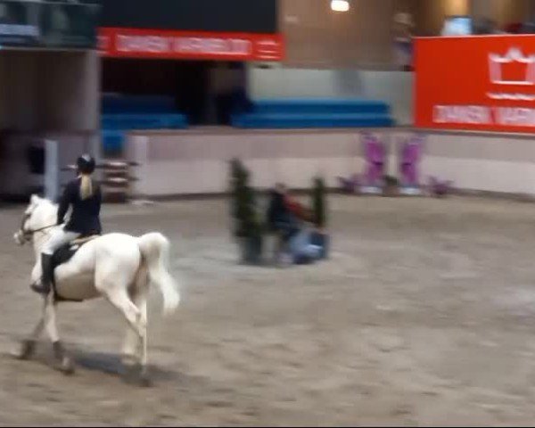 Video of Moelleaaens Ambassador