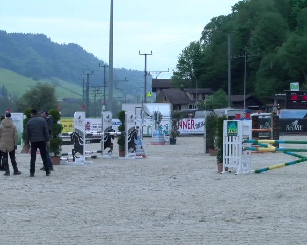 Reitturnier Schüpfheim 2025