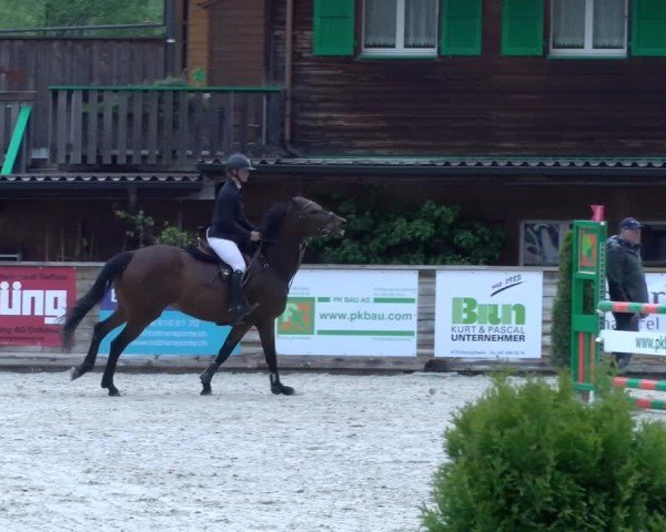 Reitturnier Schüpfheim 2025