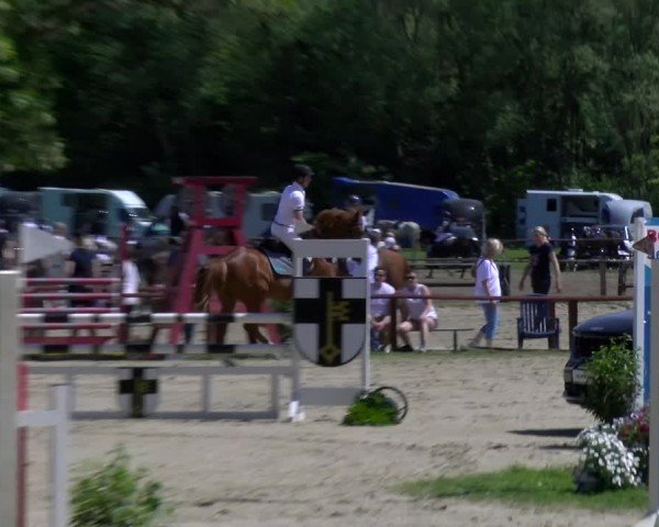 Reitturnier Dorsten 2025