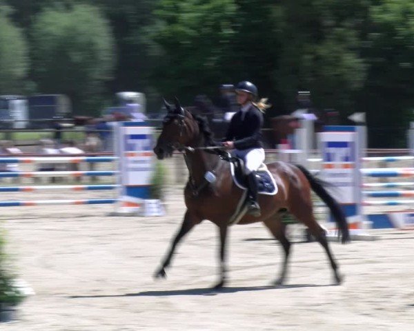 Reitturnier Dorsten 2025