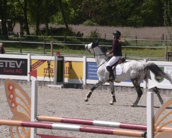 Reitturnier Babenhausen 2025