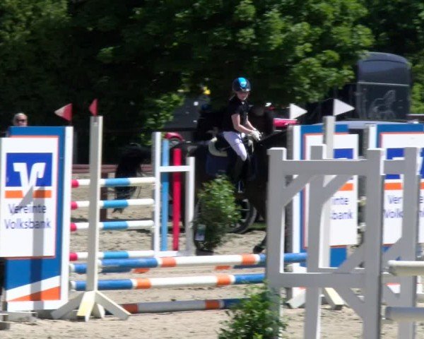 Reitturnier Dorsten 2025