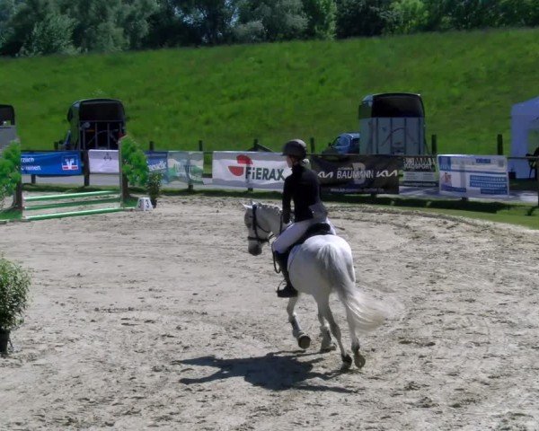 Reitturnier Dorsten 2025