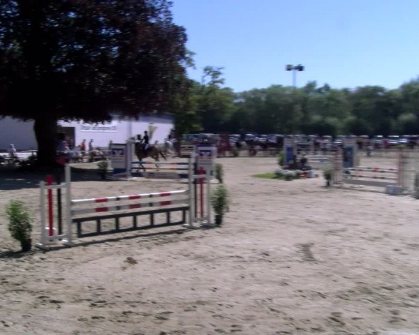 Reitturnier Dorsten 2025