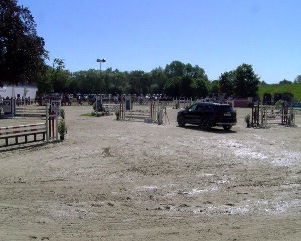 Reitturnier Dorsten 2025