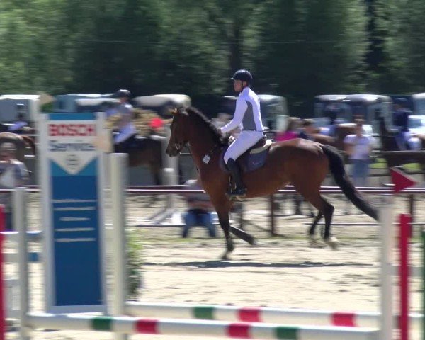 Reitturnier Dorsten 2025