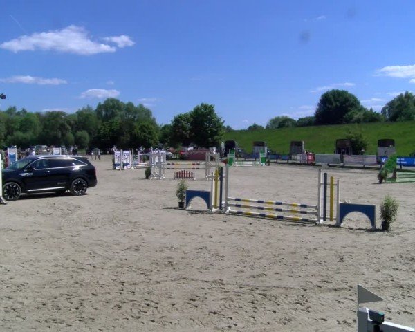 Reitturnier Dorsten 2025