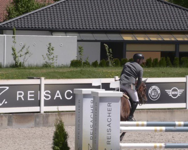 Reitturnier Babenhausen 2025