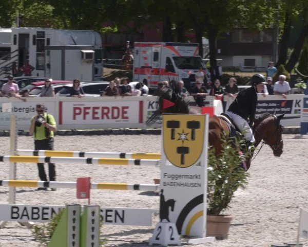 Reitturnier Babenhausen 2025