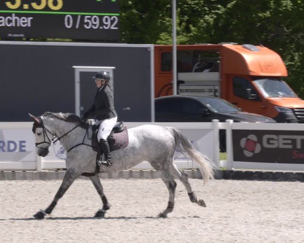 Reitturnier Babenhausen 2025