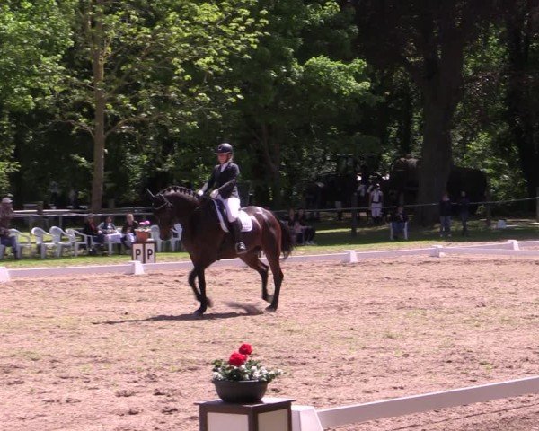 Reitturnier Helmsdorf 2025