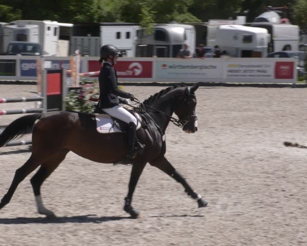 Reitturnier Babenhausen 2025