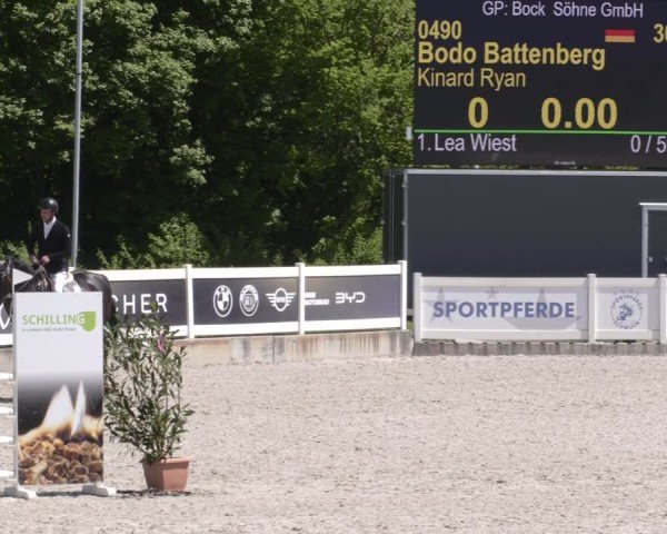 Reitturnier Babenhausen 2025