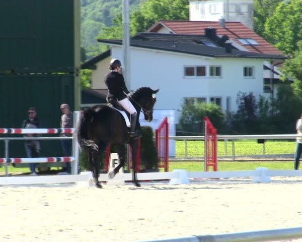 Reitturnier Eichendorf/Ndb. 2025
