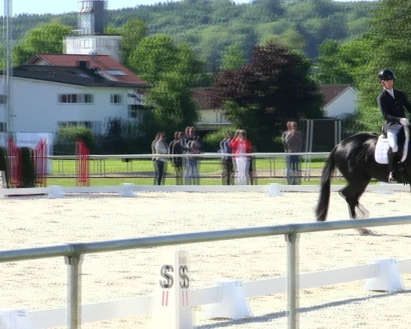 Reitturnier Eichendorf/Ndb. 2025