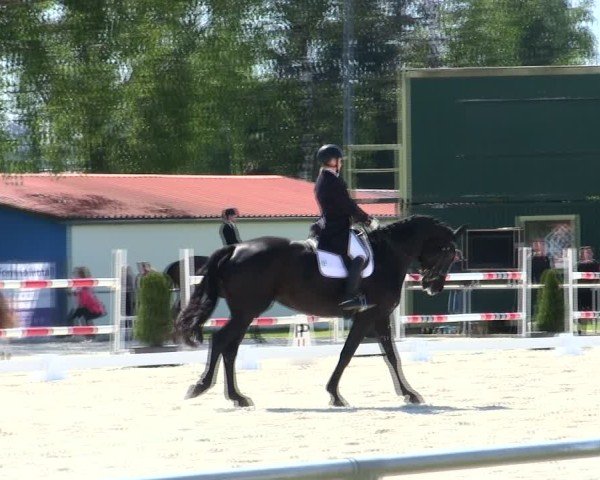 Reitturnier Eichendorf/Ndb. 2025