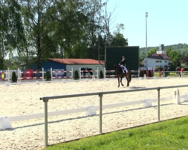 Reitturnier Eichendorf/Ndb. 2025