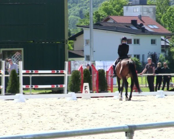Reitturnier Eichendorf/Ndb. 2025