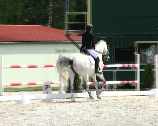 Reitturnier Eichendorf/Ndb. 2025