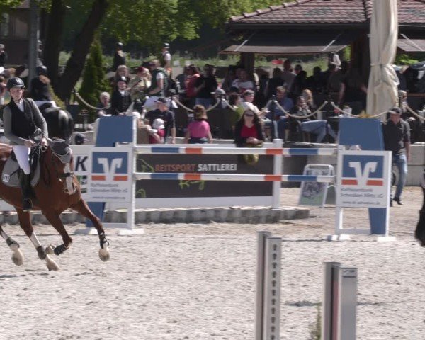 Reitturnier Babenhausen 2025