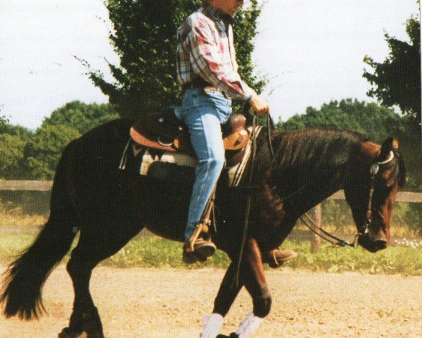 Pferd Proud N Smart (Quarter Horse, 1998, von Smartin Off)