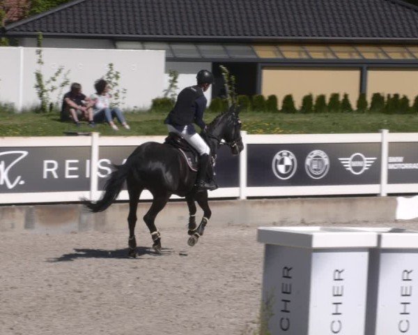Reitturnier Babenhausen 2025