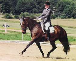 Dressage horse Prima Facie (Westphalian, 1992, from Playmate xx)