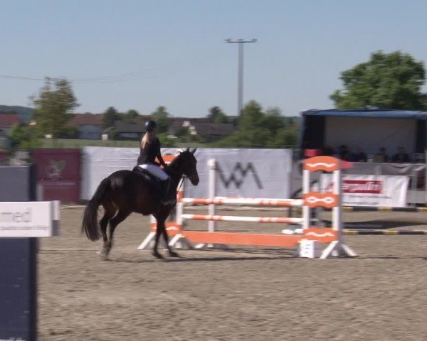 Reitturnier Poxdorf/Ofr 2025
