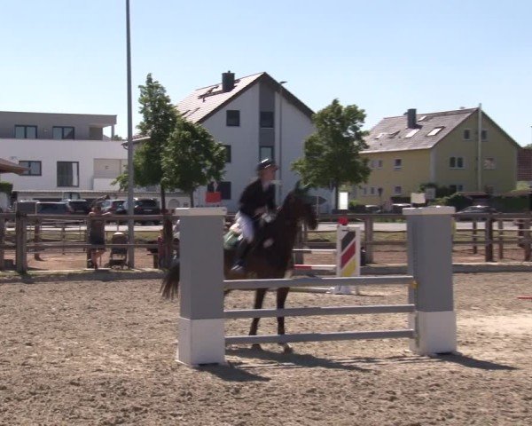 Reitturnier Poxdorf/Ofr 2025