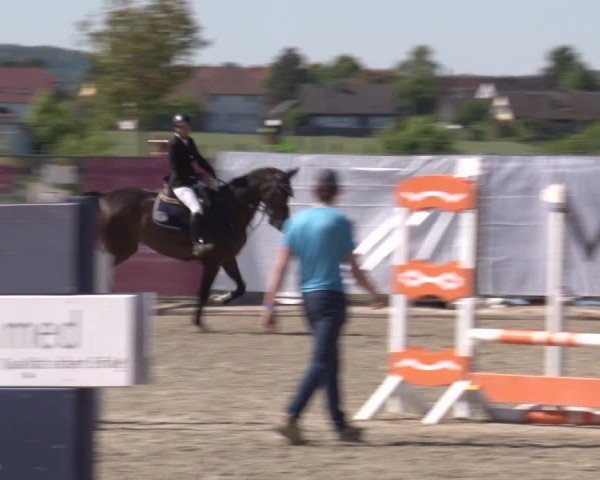 Reitturnier Poxdorf/Ofr 2025