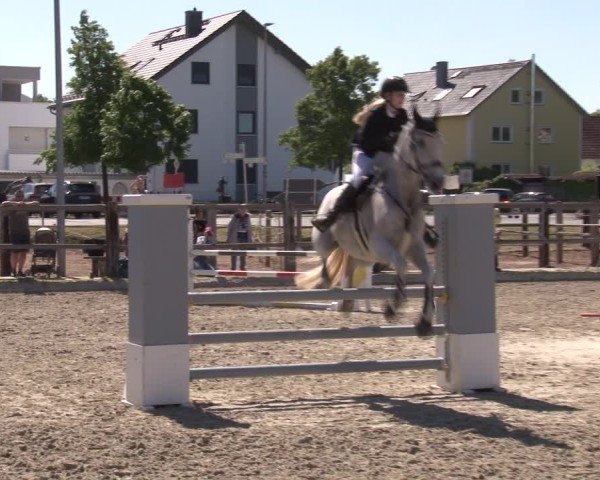 Reitturnier Poxdorf/Ofr 2025