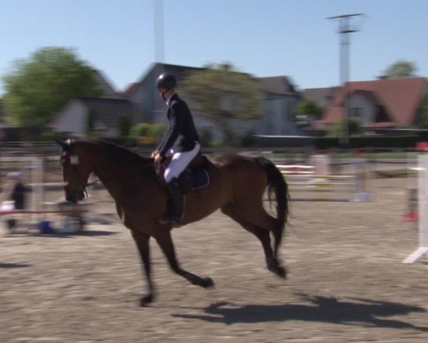 Reitturnier Poxdorf/Ofr 2025