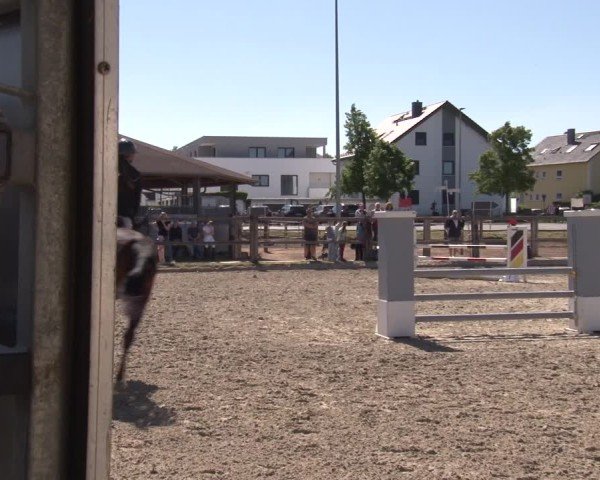 Reitturnier Poxdorf/Ofr 2025