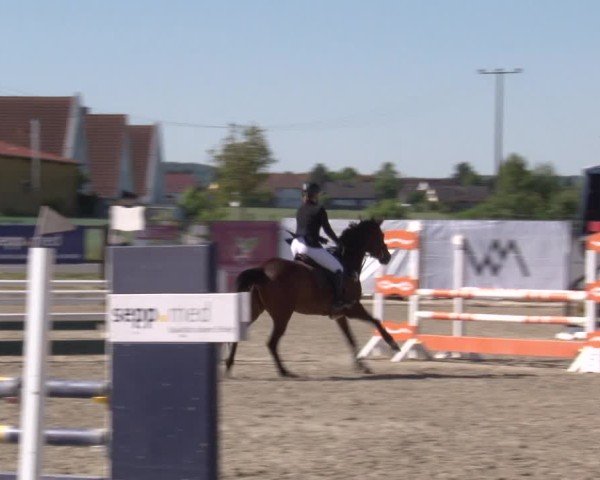 Reitturnier Poxdorf/Ofr 2025