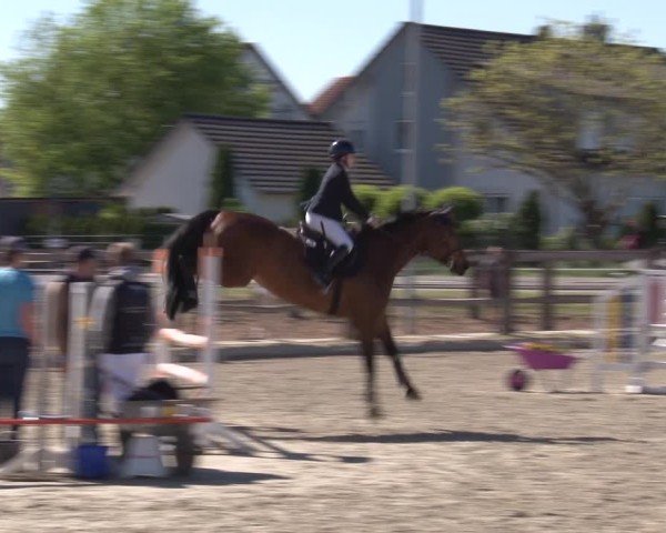 Reitturnier Poxdorf/Ofr 2025