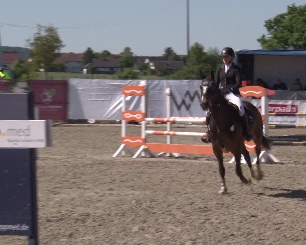 Reitturnier Poxdorf/Ofr 2025