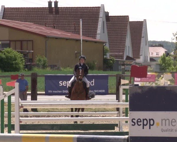 Reitturnier Poxdorf/Ofr 2025